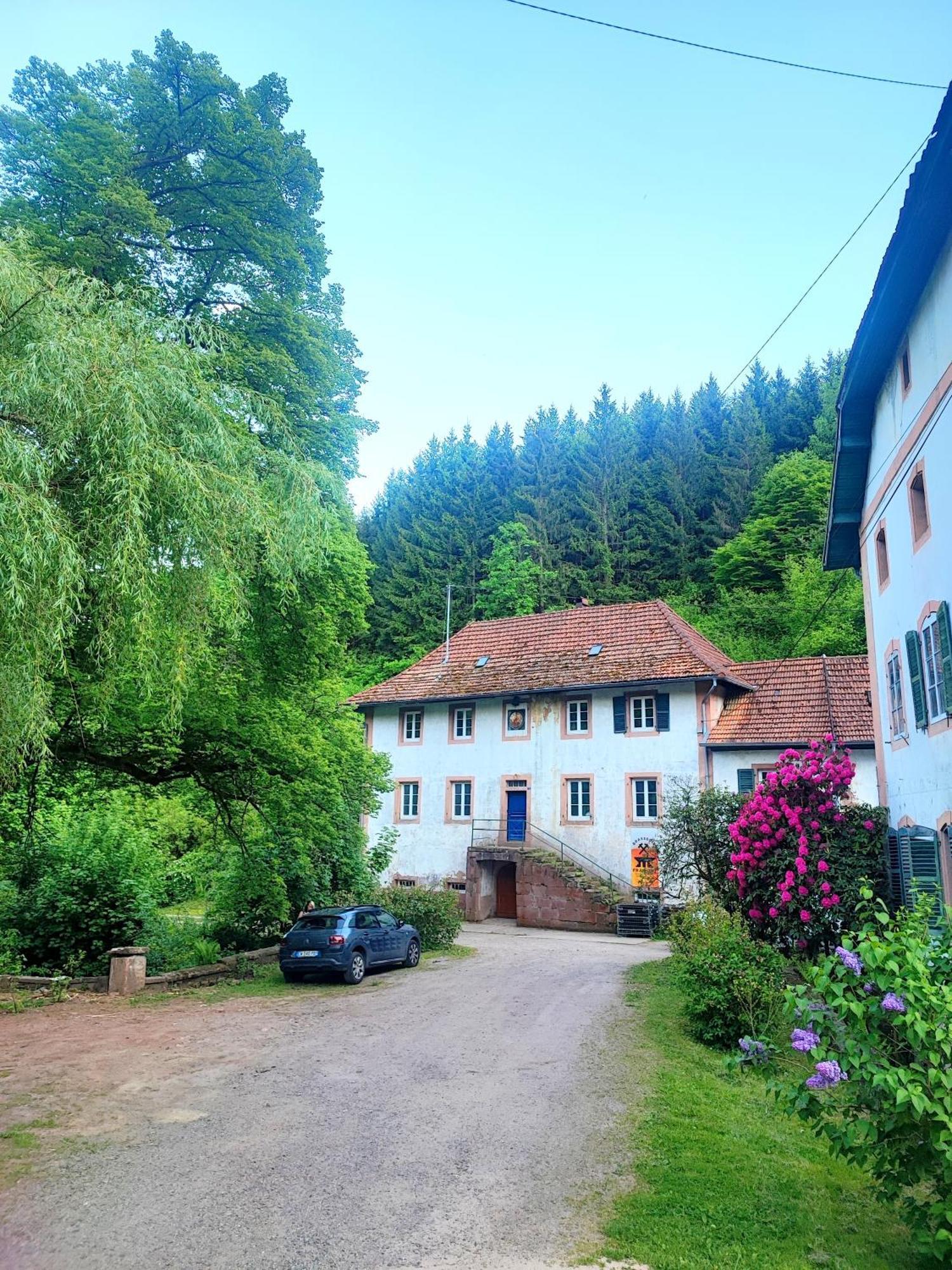 Апартаменты La Demeure Des Forges Grandfontaine  Экстерьер фото